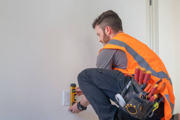 Best Ceiling Fan Installation Electrician  in Smithton, IL